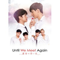 Until　We　Meet　Again　～運命の赤い糸～/ＤＶＤ/TSDS-75097